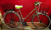 VEDI LA SCHEDA DELLA BIKE ART