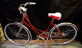 VEDI LA SCHEDA DELLA BIKE ART